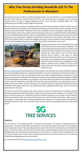 Why Tree Stump Grinding Should Be Left To The Professionals In Aberdeen