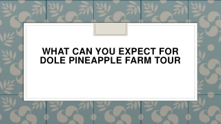 What Can You Expect for Dole Pineapple Farm Tour
