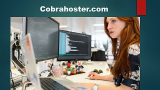 How to choose the best web host company