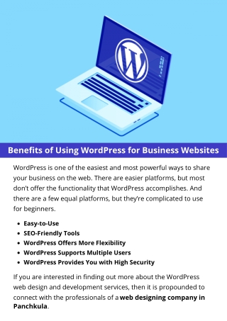 Benefits of Using WordPress for Business Websites