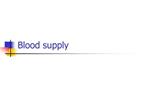 Blood supply