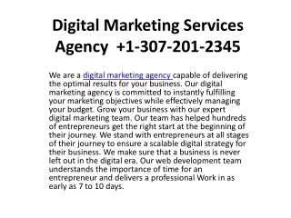 Digital Marketing Services Agency  1-307-201-2345