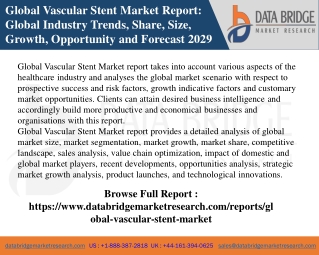 Vascular Stents Market Report 2022, Influencing Factors, Competitive Analysis