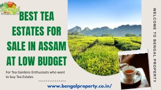 Best Tea Estates For Sale In Assam at Low Budget