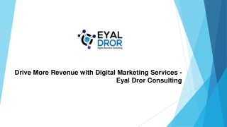 Drive More Revenue with Digital Marketing Services - Eyal Dror Consulting