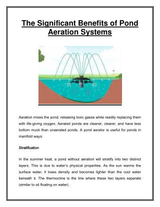 Aeration Systems & Decorative Fountain Displays - Admirallakeandpondrestoration.com