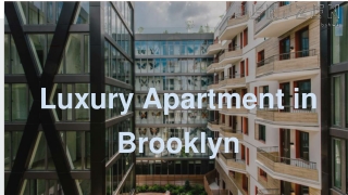 Luxury Apartment in Brooklyn