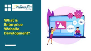 What is Enterprise Website Development