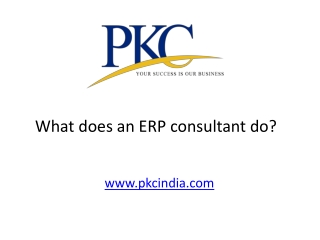 What does an ERP consultant do