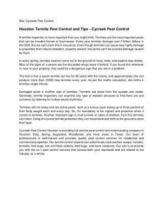 Houston Termite Pest Control and Tips - Cycreek Pest Control