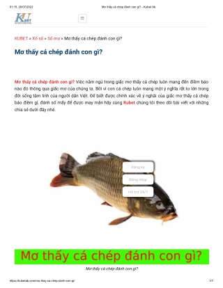 Mơ thấy cá chép đánh con gì_ - Kubet Ab