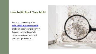 How To Kill Black Toxic Mold