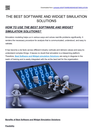 Software and widget simulation