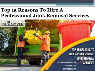 Top 15 Reasons To Hire A Professional Junk Removal Services