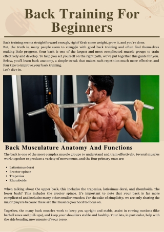 Back Training For Beginners