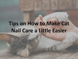 Tips on How to Make Cat Nail Care a Little Easier