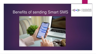 Benefits of sending Smart SMS- NettyfishSolutions