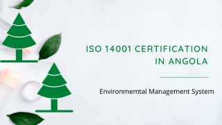ISO 14001 Certification in Angola