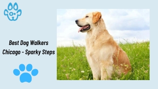 Best Dog Walkers Chicago - Sparky Steps