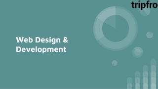 Web Design & Development