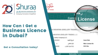 Business Licence in Dubai