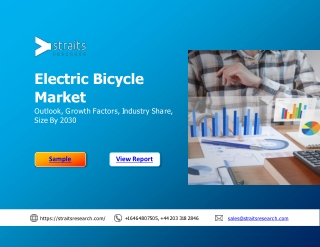 Electric Bicycle Market  to Witness Revolutionary Growth by 2030