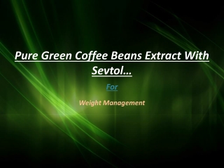 Pure Green Coffee Beans Extract With Sevtol for Weight Menag