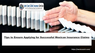 Tips to Ensure Applying for Successful Mexican Insurance Claims