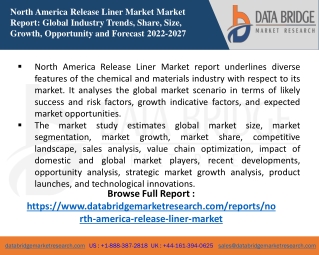 North America Release LinerNorth America Release Liner Market Market