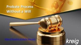 Probate Process Without a Will - Houston-probate-law.com