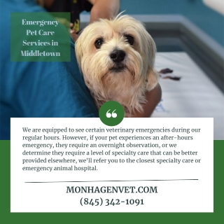 Emergency Pet Care Services in Middletown