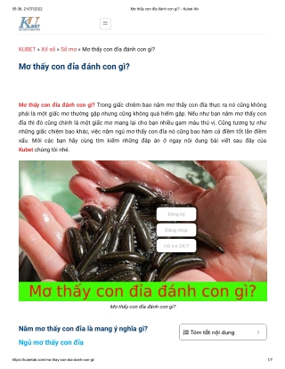 Mơ thấy con đỉa đánh con gì_ - Kubet Ab
