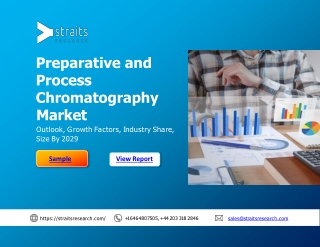 The preparative and process chromatography market