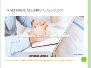WordPress Amadeus GDS Plugin