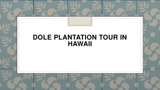 Dole Plantation Tour in Hawaii