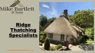 Roof Thatching Services in Dorset