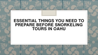 Essential Things You Need to Prepare Before Snorkeling Tours in Oahu
