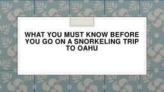 What You Must Know Before You Go on a Snorkeling Trip to Oahu
