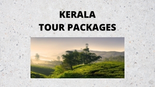 Kerala Holiday Packages at Fantastic Deals