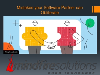 Mistakes your Software Partner can Obliterate
