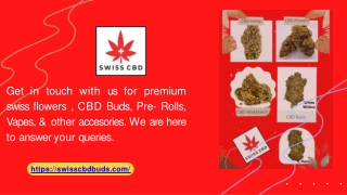The Best CBD Bud and High CBD Strains [2022] - swisscbdbuds