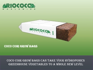 Coco Coir Grow Bags Can Take Your Hydroponics Greenhouse Vegetables to a Whole New Level