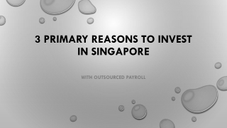 Primary reasons to invest in Singapore Economy