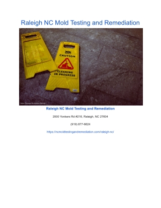 Raleigh NC Mold Testing and Remediation