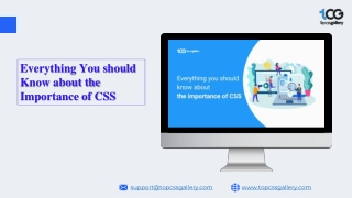 Everything You should Know about the Importance of CSS