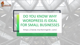 Do you know why WordPress is ideal for small businesses