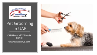 Pet Grooming In UAE​