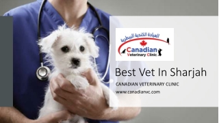 Sharjah's Best Veterinarian