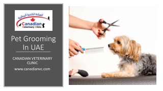 Pet Grooming In UAE​