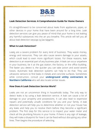 Guide- Home Owners Should Know About Leak Detection Services